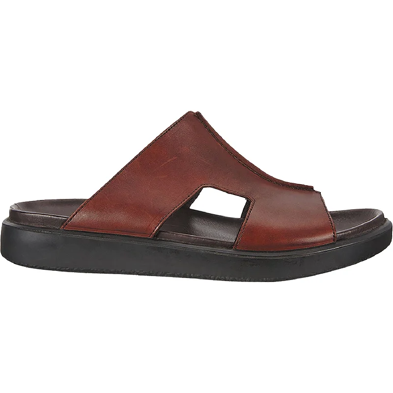 Men's sandals with a durable outer soleMen's Ecco Flowt LX Slide Cognac Leather