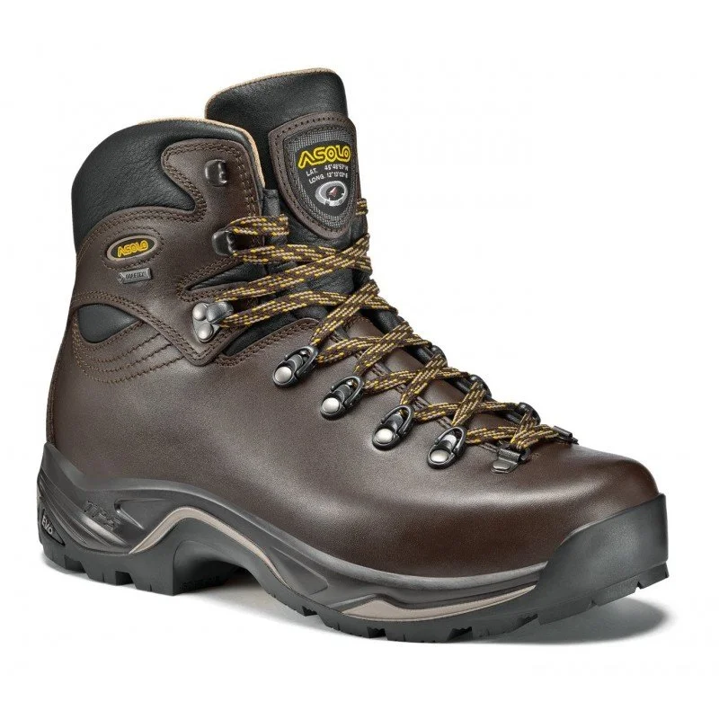 Men's hiking boots with a cushioned midsoleTPS 520 GV EVO (Men's)